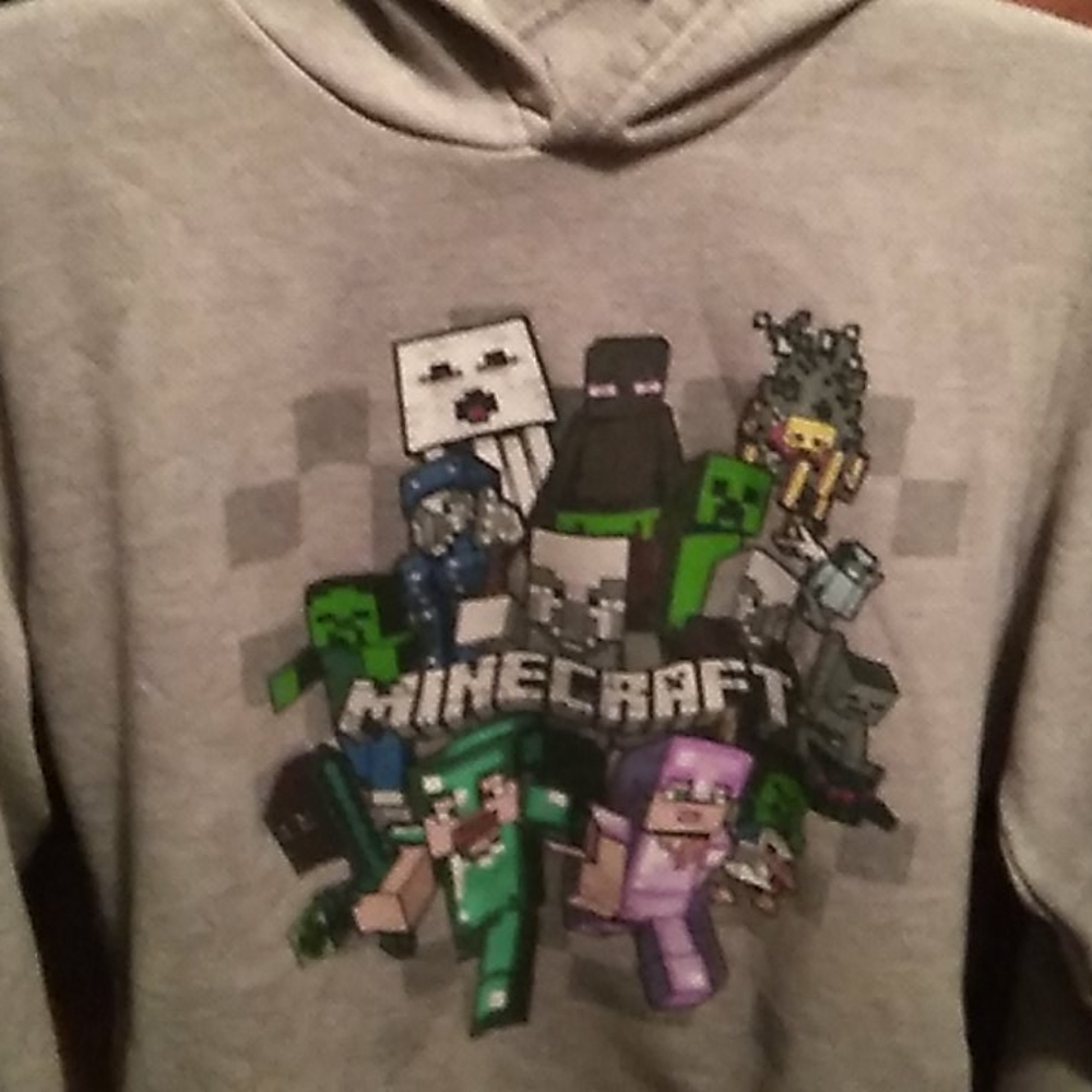 Minecraft hoodie